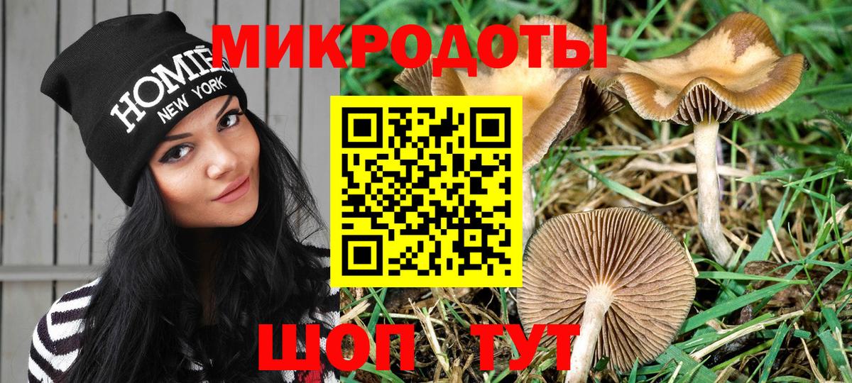Псилоцибиновые грибы Magic Shrooms Зерноград