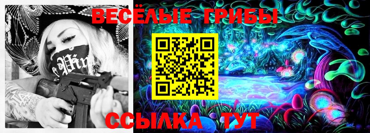 Псилоцибиновые грибы MAGIC MUSHROOMS  Псилоцибиновые грибы мухоморы  Вход с VPN  Зерноград 