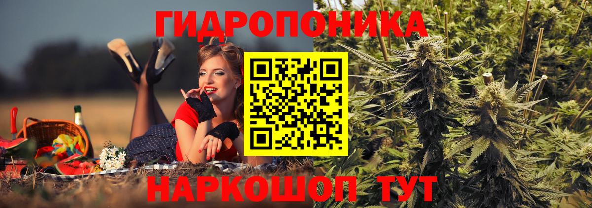 Бошки Шишки планчик  Марихуана SATIVA & INDICA  Зерноград  Вход с VPN  Шишки марихуана семена  Бошки Шишки Amnesia 